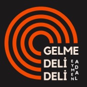 Gelme Deli Deli artwork