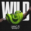 Wild - Single