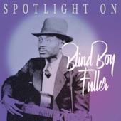 Spotlight on Blind Boy Fuller artwork
