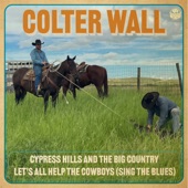 Let's All Help the Cowboys (Sing the Blues) artwork