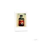 Bottles, Coughs, And Red Pandas - EP