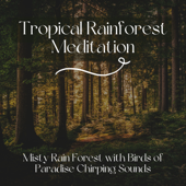 Rain Sounds for the Mind - Rainforest Music Lullabies Ensemble