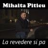 La revedere si pa - Single