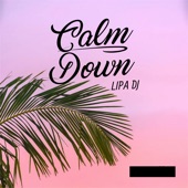 Calm Down (Trend Tiktok) [Remix] artwork