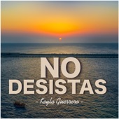 No Desistas artwork