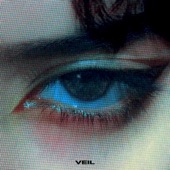 veil - Single