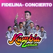 Fidelina (En Vivo) artwork