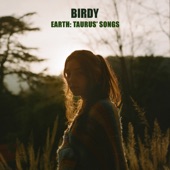 Birdy - Not About Angels