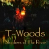 T-Woods - Lainey Wilson Freestyle