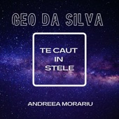 Te Caut In Stele (Extended Mix) artwork