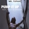 Pump It Up (feat. Robyn & Simson) [Michael Dangerous Remix] artwork