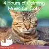 4 Hours of Calming Music for Cats album lyrics, reviews, download