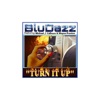 Turn It Up - Single