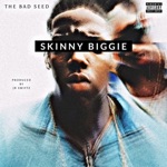 Skinny Biggie (feat. JR Swiftz) - Single
