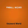 PINBALL WIZARD - Single album lyrics, reviews, download