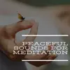 Peaceful Sounds for Meditation: Flute, Drums, Rain album lyrics, reviews, download