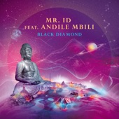 Buddha Bar, Mr. ID - Black Diamond (feat. Andile Mbili)