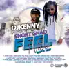Feel Nice MixFix (Dj Kenny) album lyrics, reviews, download