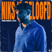 Niks Is Beloofd artwork