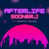 Afterlife album lyrics, reviews, download