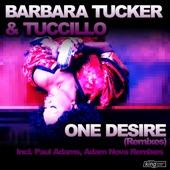 One Desire (Paul Adam Remix) artwork