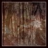 Untouched Rainforest - EP