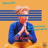 Felix Don't You Want Me (Anderson Suek Remix) [Remix] artwork