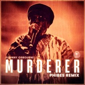 Murderer (Phibes Remix) artwork