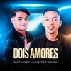 Dois Amores - Single