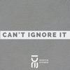 Can't Ignore It - Single