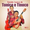 Grandes Sucessos de Tonico e Tinoco: Vol. 2, 1995