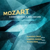 Divertimento, K. Anh. 229/439b, No. 5 (Arr. for Violin, Viola and Cello by Claudio Cruz): IV. Romanze Andante artwork