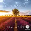 True Nature album lyrics, reviews, download