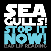 Seagulls! (Stop It Now) - Bad Lip Reading