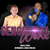 Sengidinga Wena artwork