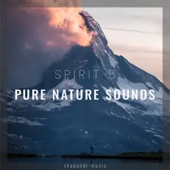 Pure Nature Sounds by Spirit 5 album reviews, ratings, credits
