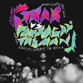 What, Me Worry? (A-Trak Remix) artwork