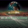 We Are the Universe