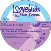 Lovebirds - Want You in My Soul (feat. Stee Downes)