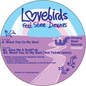 Want You In My Soul (feat. Stee Downes) - Lovebirds