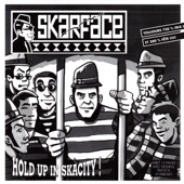Skacity Theme artwork