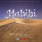 Habibi (feat. Plain Jane) artwork