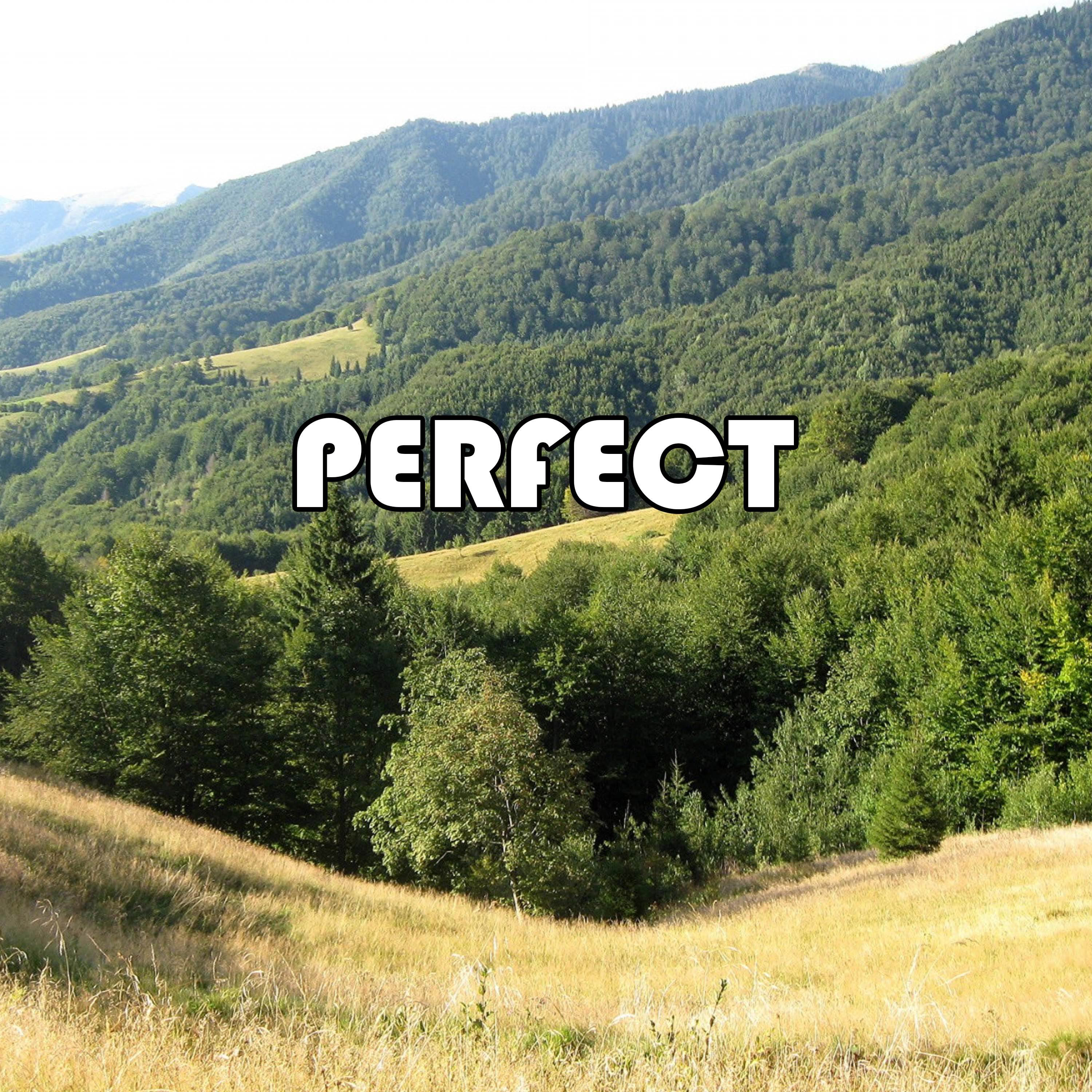 100000x100000-999.jpg