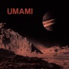 Umami - Single