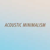 Acoustic Minimalism artwork
