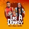 Like a Donkey (feat. Cutty & Zagga) - JazzyKitt lyrics