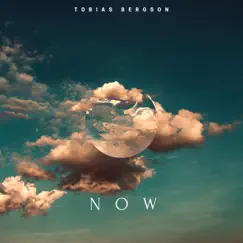 Now - Single by Tobias Bergson album reviews, ratings, credits