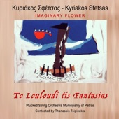 Imaginary Flower - To Louloudi Tis Fantasias - EP artwork