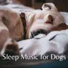 Soothing Puppy Music (feat. Music for Dog's Ears & Dog Music Club) song lyrics