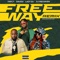 Freeway (feat. Dj Pee Raven) - Tripcy, Lady Du, Davido & Nektunez lyrics